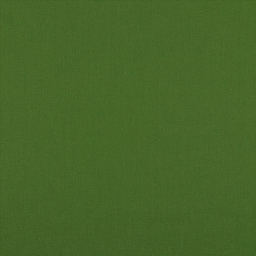 Baumwolle | Uni | Candy Cotton | waldgrün