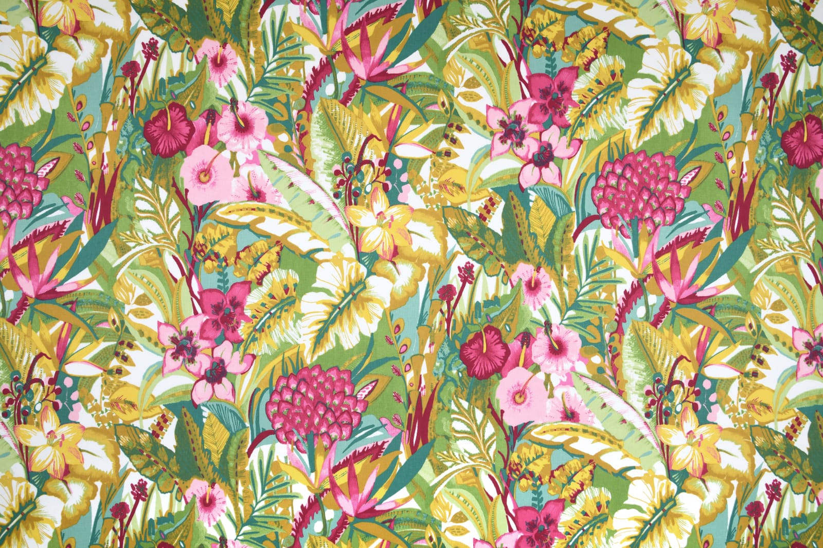 Wachstuch/beschichtete Baumwolle |  jungle  | bunt